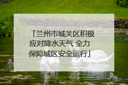 兰州市城关区积极应对降水天气 全力保障城区安全运行