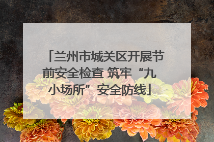 兰州市城关区开展节前安全检查 筑牢“九小场所”安全防线