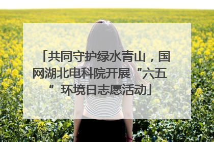 共同守护绿水青山，国网湖北电科院开展“六五”环境日志愿活动