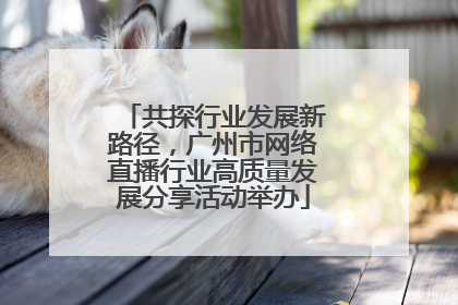 共探行业发展新路径，广州市网络直播行业高质量发展分享活动举办