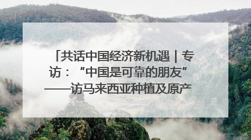 共话中国经济新机遇｜专访：“中国是可靠的朋友”——访马来西亚种植及原产业部副部长陈泓缣