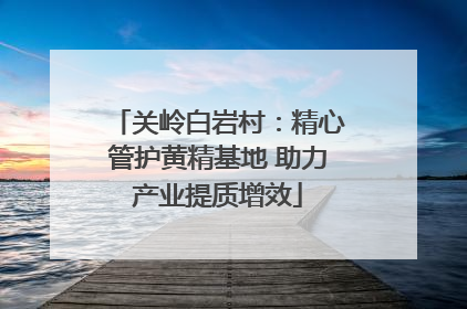 关岭白岩村：精心管护黄精基地 助力产业提质增效