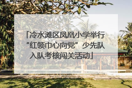 冷水滩区凤凰小学举行“红领巾心向党”少先队入队考核闯关活动