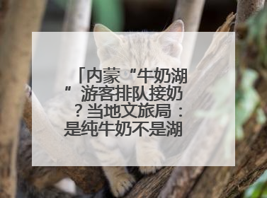 内蒙“牛奶湖”游客排队接奶？当地文旅局：是纯牛奶不是湖水，可放心喝