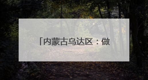 内蒙古乌达区：做好“土特产”文章 写好乡村振兴答卷