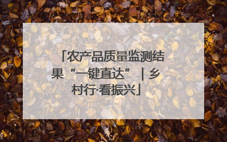 农产品质量监测结果“一键直达”｜乡村行·看振兴