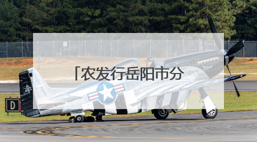 农发行岳阳市分行开展“倡导诚信风尚，共建守信社会”宣传活动