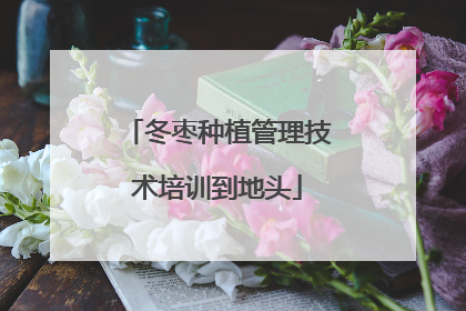 冬枣种植管理技术培训到地头