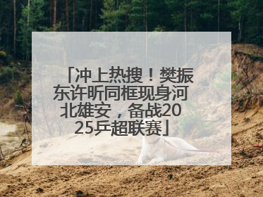 冲上热搜！樊振东许昕同框现身河北雄安，备战2025乒超联赛