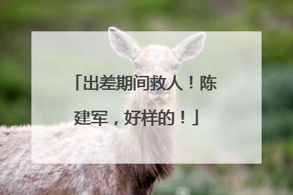 出差期间救人！陈建军，好样的！
