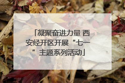 凝聚奋进力量 西安经开区开展“七一”主题系列活动