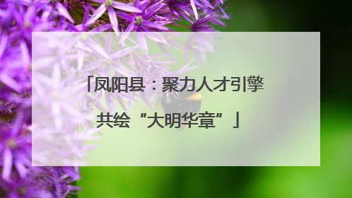 凤阳县：聚力人才引擎 共绘“大明华章”