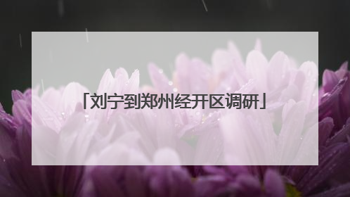 刘宁到郑州经开区调研