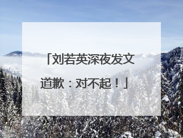 刘若英深夜发文道歉：对不起！