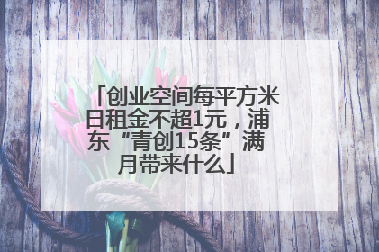创业空间每平方米日租金不超1元，浦东“青创15条”满月带来什么