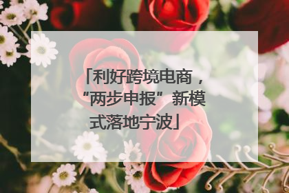 利好跨境电商，“两步申报”新模式落地宁波