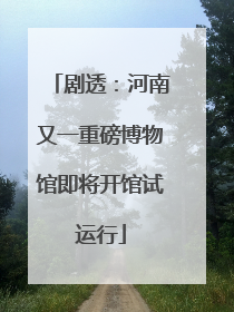 剧透：河南又一重磅博物馆即将开馆试运行