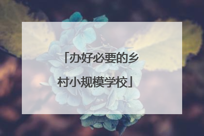 办好必要的乡村小规模学校