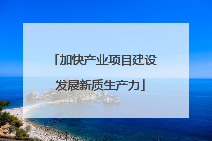 加快产业项目建设 发展新质生产力