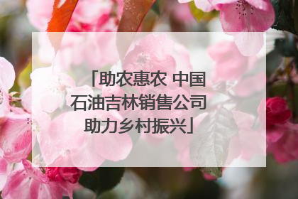 助农惠农 中国石油吉林销售公司助力乡村振兴