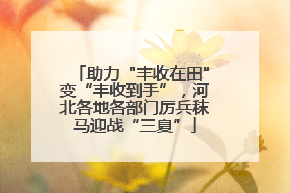 助力“丰收在田”变“丰收到手”，河北各地各部门厉兵秣马迎战“三夏”