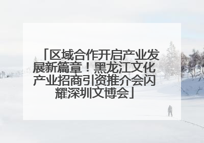 区域合作开启产业发展新篇章！黑龙江文化产业招商引资推介会闪耀深圳文博会