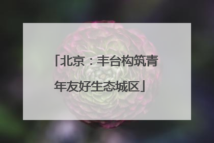 北京：丰台构筑青年友好生态城区