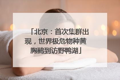 北京：首次集群出现，世界极危物种黄胸鹀到访野鸭湖