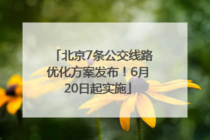 北京7条公交线路优化方案发布！6月20日起实施