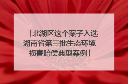 北湖区这个案子入选湖南省第三批生态环境损害赔偿典型案例