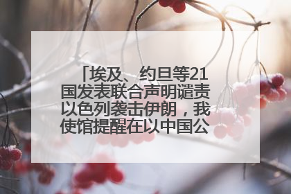 埃及、约旦等21国发表联合声明谴责以色列袭击伊朗，我使馆提醒在以中国公民尽快陆路离境