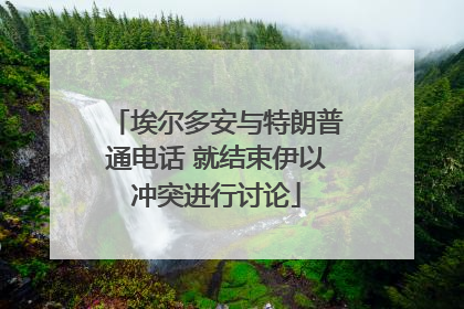 埃尔多安与特朗普通电话 就结束伊以冲突进行讨论