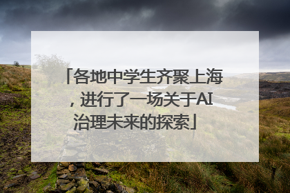 各地中学生齐聚上海，进行了一场关于AI治理未来的探索