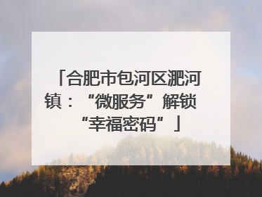 合肥市包河区淝河镇：“微服务”解锁“幸福密码”