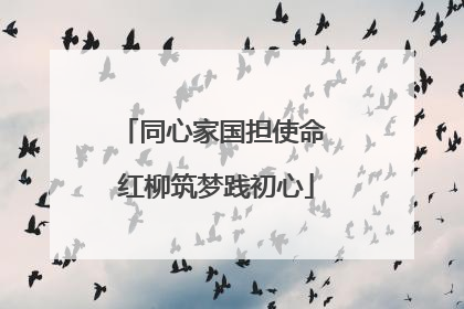 同心家国担使命 红柳筑梦践初心