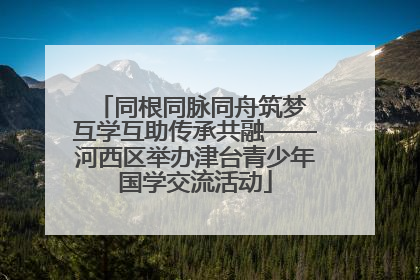 同根同脉同舟筑梦 互学互助传承共融——河西区举办津台青少年国学交流活动