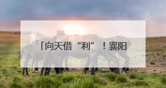 向天借“利”！襄阳竞逐“天空之城”