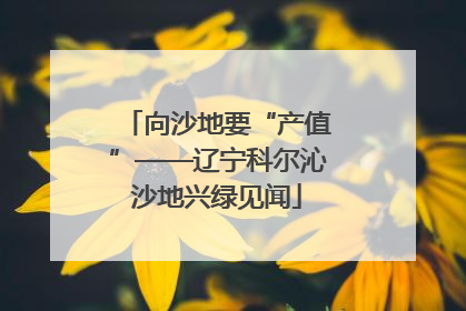 向沙地要“产值”——辽宁科尔沁沙地兴绿见闻
