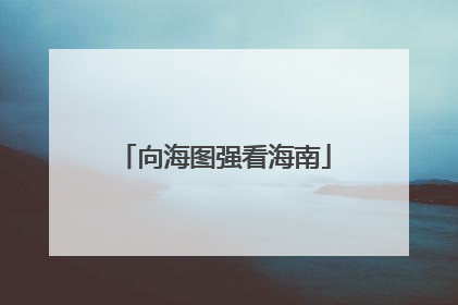向海图强看海南