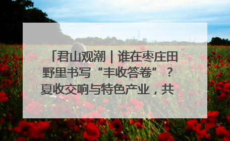 君山观潮｜谁在枣庄田野里书写“丰收答卷”？夏收交响与特色产业，共绘乡村振兴新图景