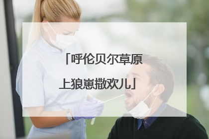 呼伦贝尔草原上狼崽撒欢儿