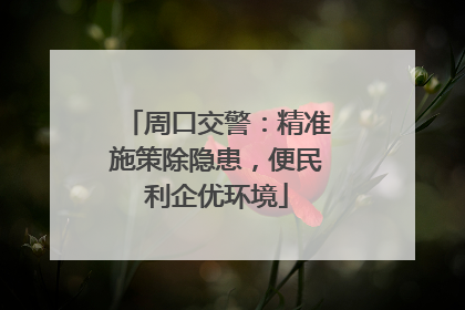 周口交警：精准施策除隐患，便民利企优环境