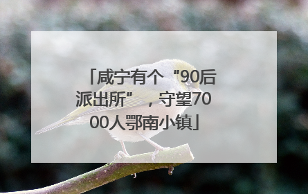 咸宁有个“90后派出所”，守望7000人鄂南小镇