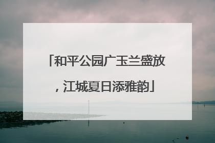 和平公园广玉兰盛放，江城夏日添雅韵