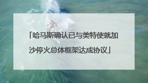 哈马斯确认已与美特使就加沙停火总体框架达成协议