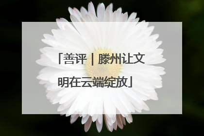 善评｜滕州让文明在云端绽放