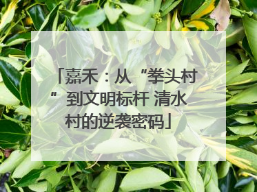 嘉禾：从“拳头村”到文明标杆 清水村的逆袭密码