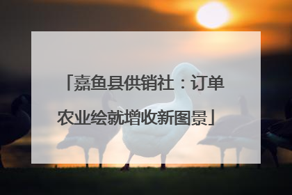 嘉鱼县供销社：订单农业绘就增收新图景