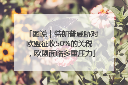 图说｜特朗普威胁对欧盟征收50%的关税，欧盟面临多重压力