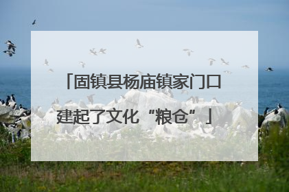 固镇县杨庙镇家门口建起了文化“粮仓”
